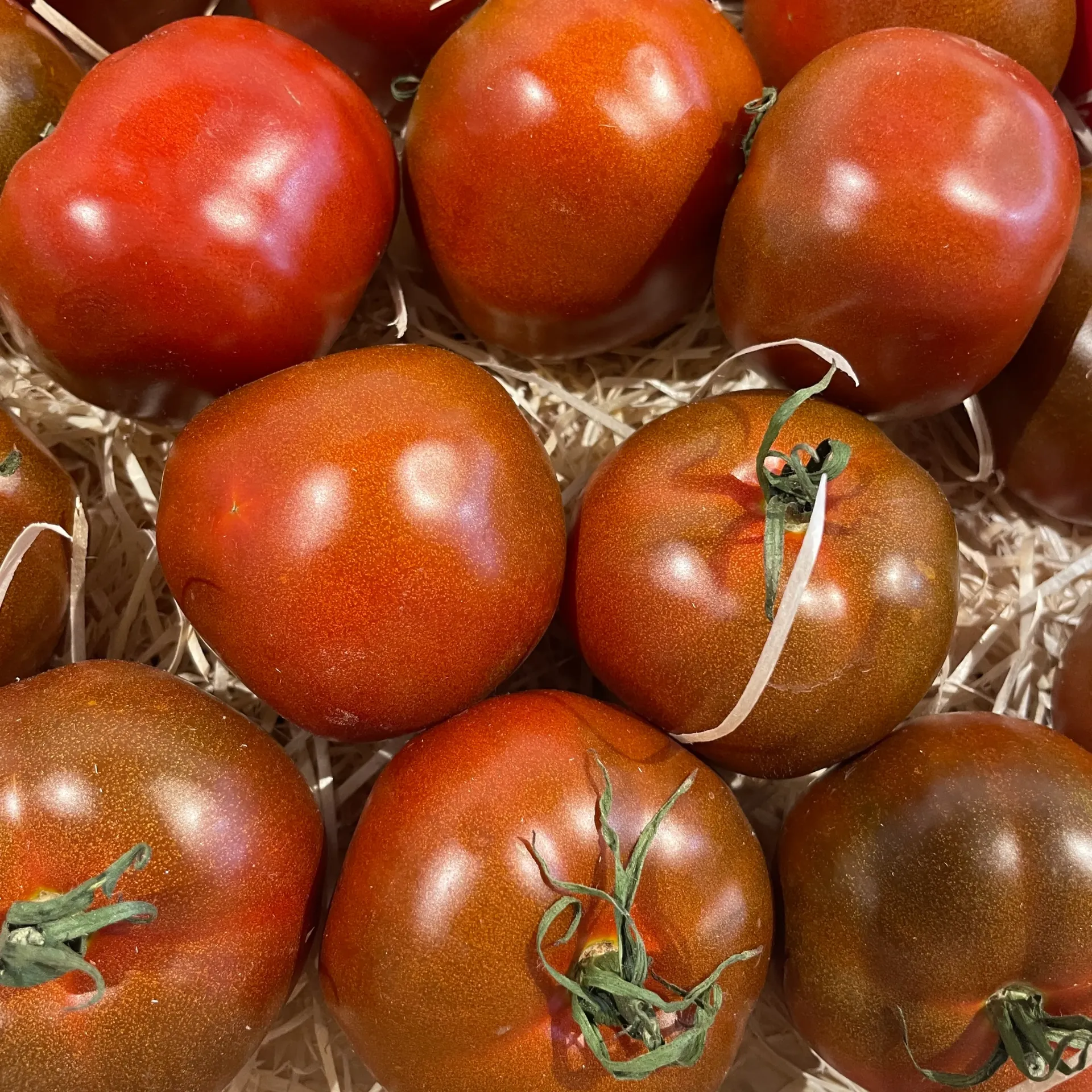 TOMATE KAKAO — Les Cailloux, Famille Boyer, Rognonas