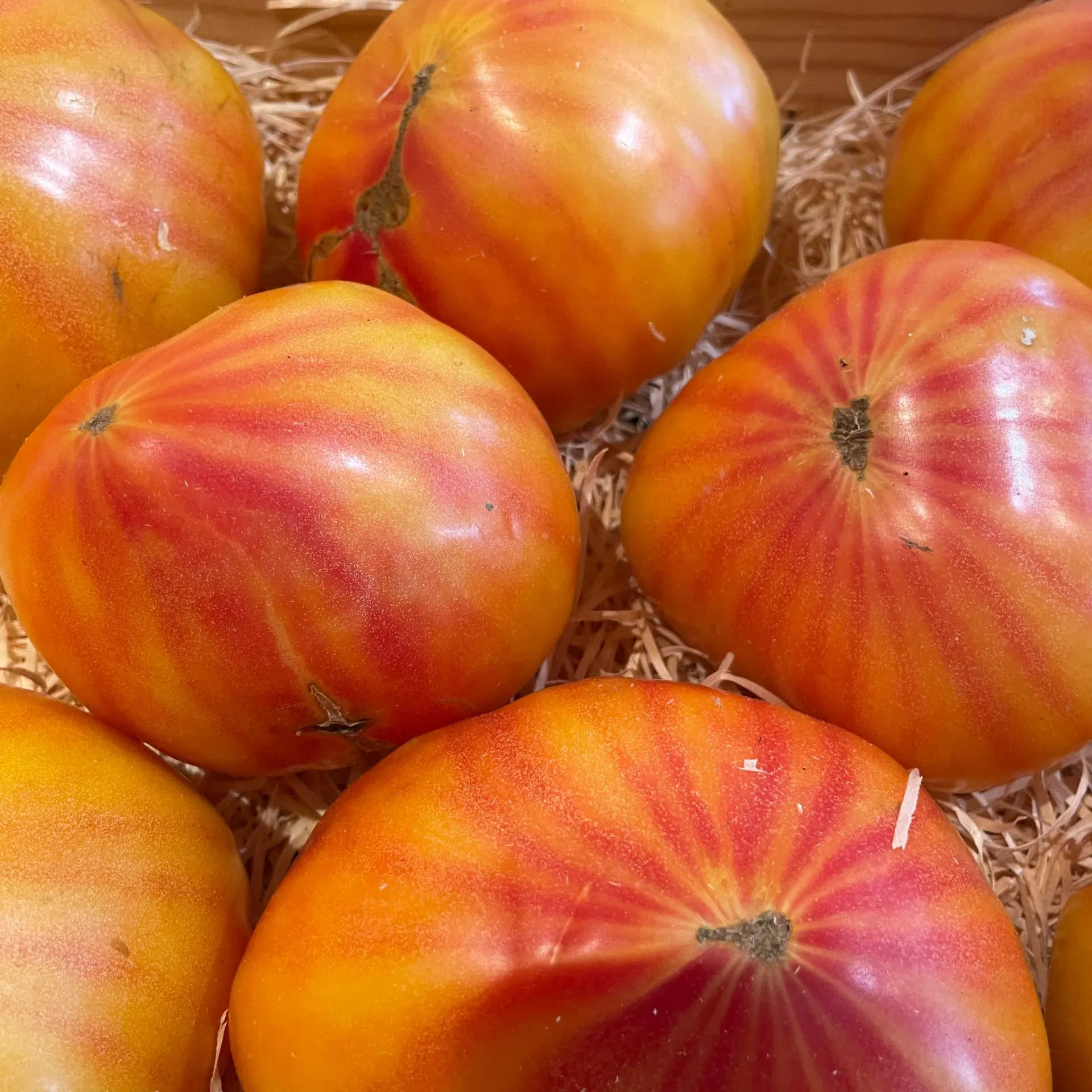 TOMATE COEUR DE BOEUF JAUNE — Les Cailloux, Famille Boyer, Rognonas