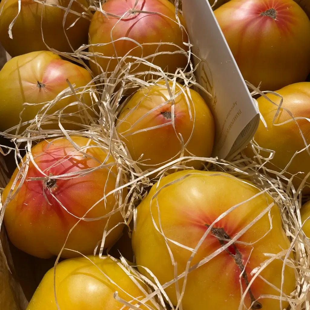 TOMATE ROMA Orange — Les Cailloux, Famille Boyer, Rognonas