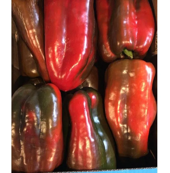 POIVRON bio — GIOVANNA LAURA (BIONATURA)
