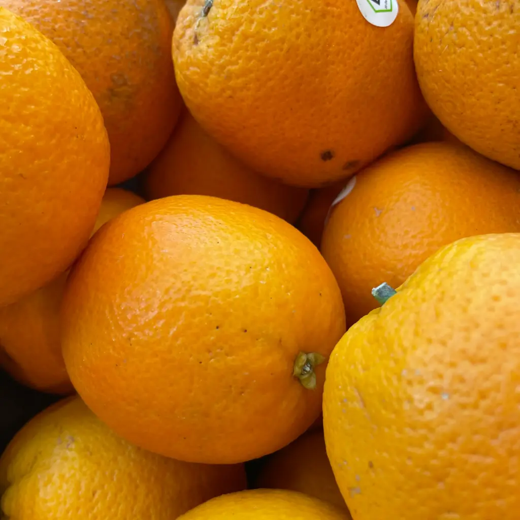 ORANGE Valencia bio — Grèce