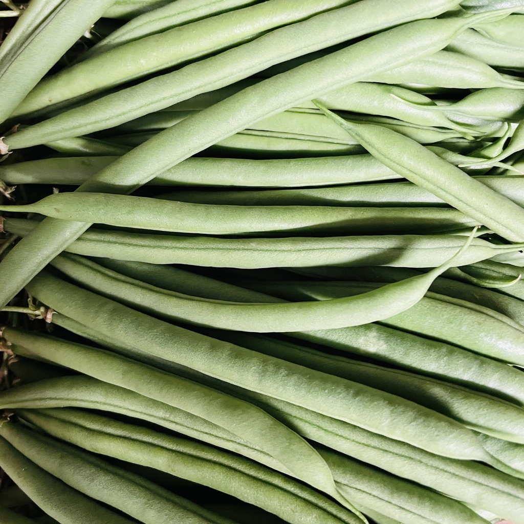 HARICOT VERT — Marc Lecoeuche, Weppe, Haut de France