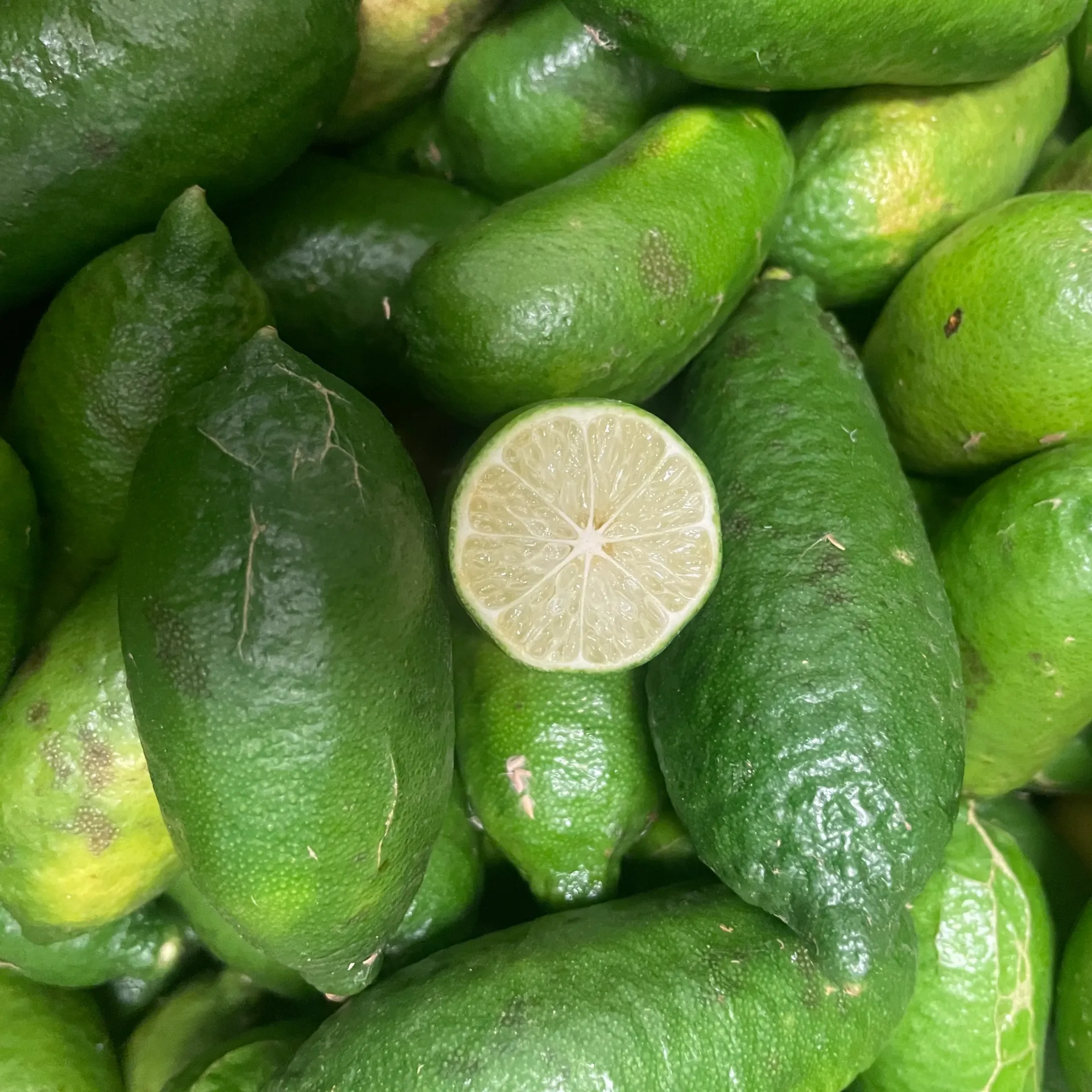 CITRON CAVIAR bio — Mari Carmen Ruiz, Tierra y Libertad, Espagne