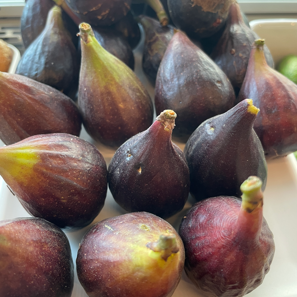FIGUE — Frizet & Fils, Sarrians, Provence