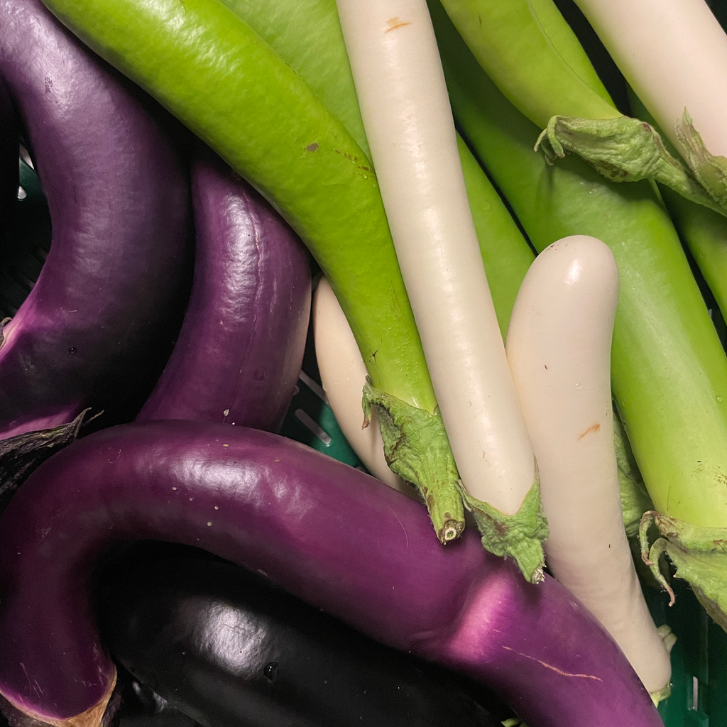 AUBERGINE Mixtes — De Blauwe Spie, Lo-Reninge, Westhoek