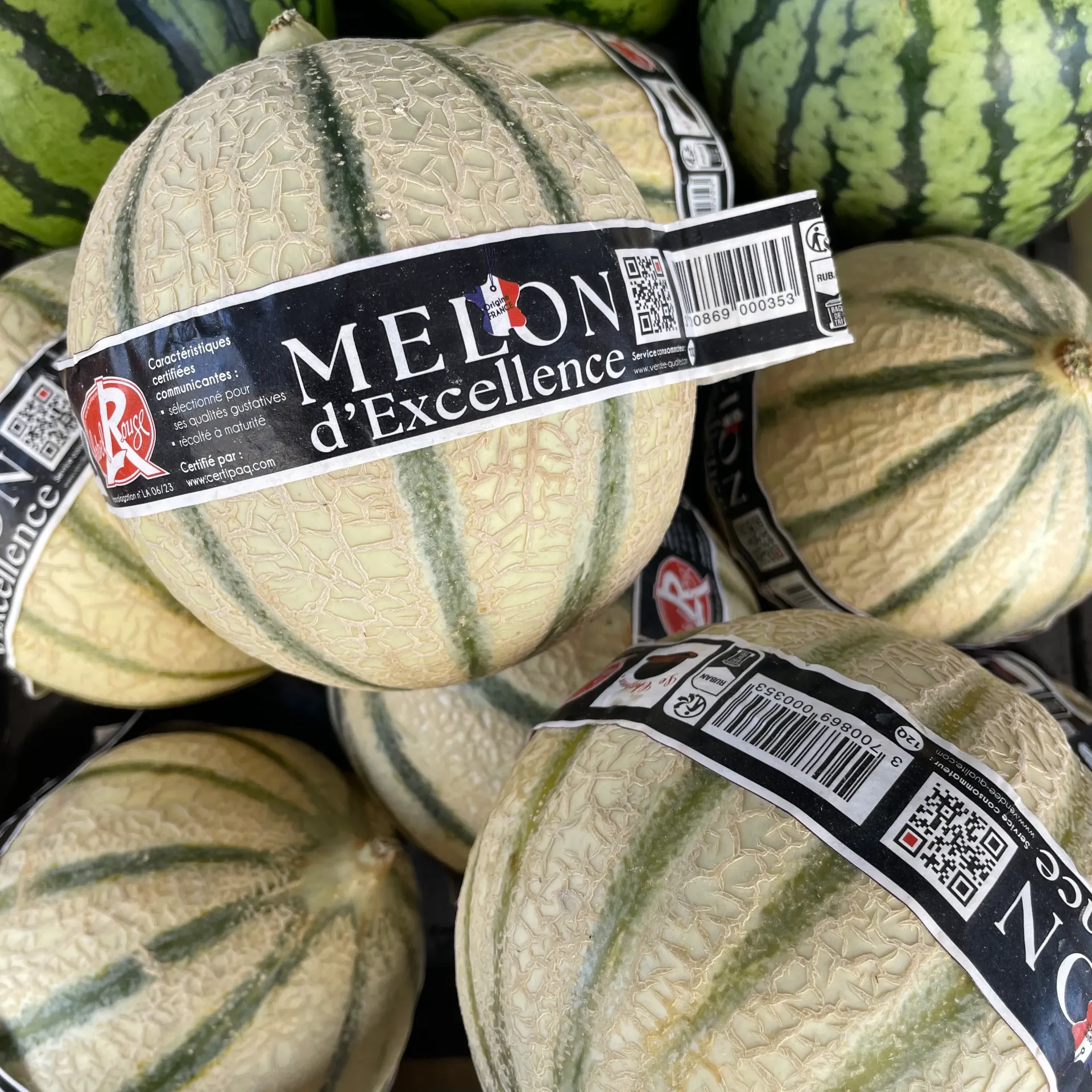 MELON Label Rouge — Chapeau, Haut-Poitou IGP
