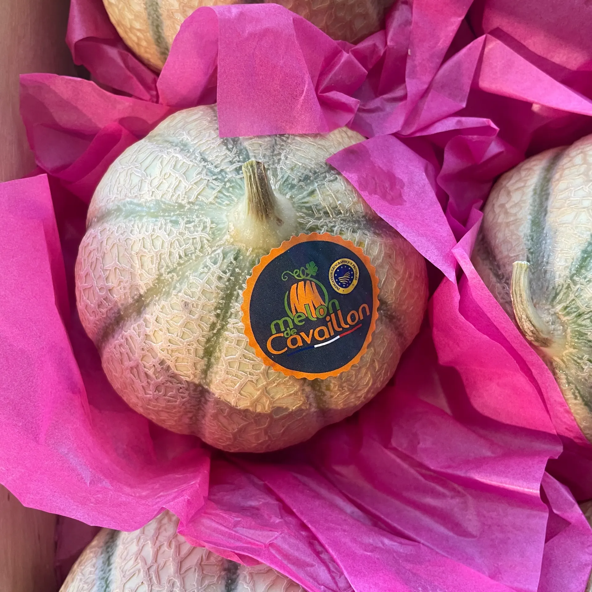 MELON Label Rouge — Chapeau, Haut-Poitou IGP