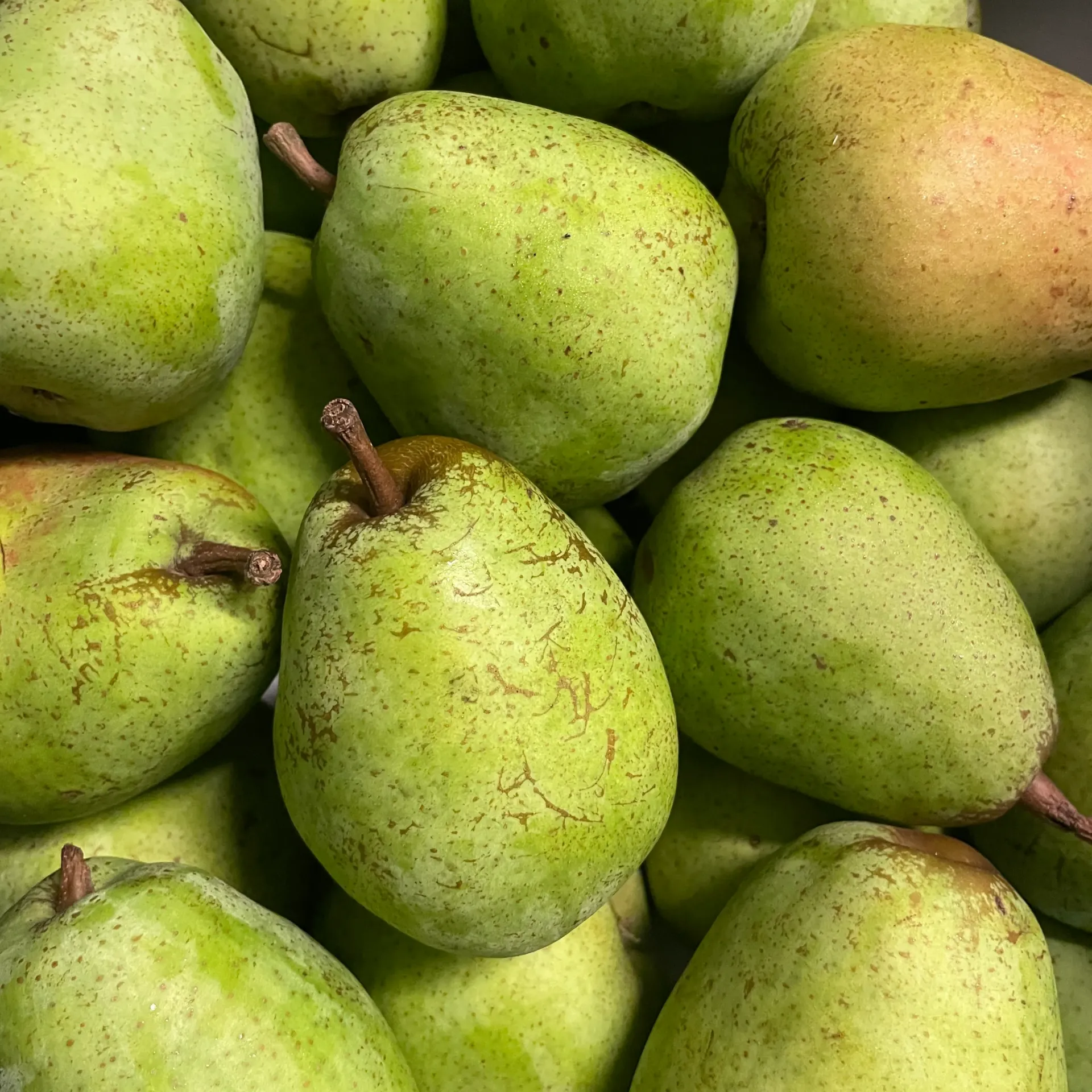POIRE LUCAS Bio — De Fruittuin, Houwaart