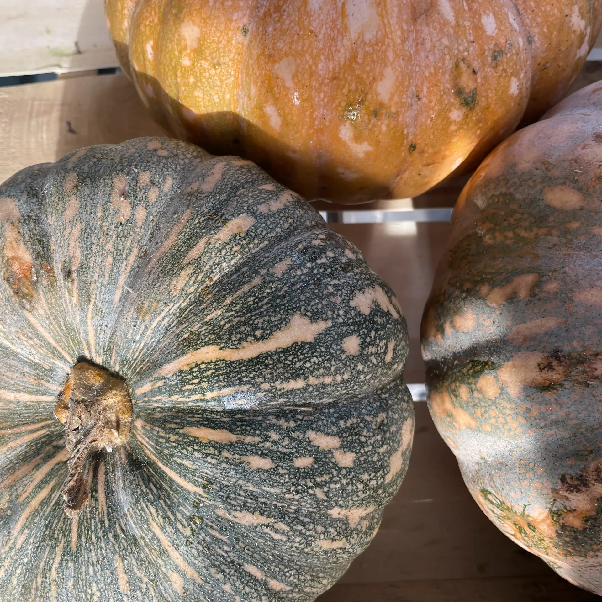 COURGE "Honshu" Bio — Simone Mazzi