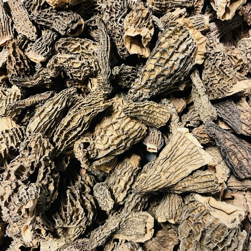 Morilles Sechées 50g - Maison Plantin