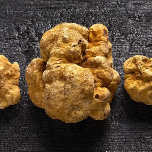 TUBER MAGNATUM PICO (Cal 40-80g), Truffe Blanche — Italie
