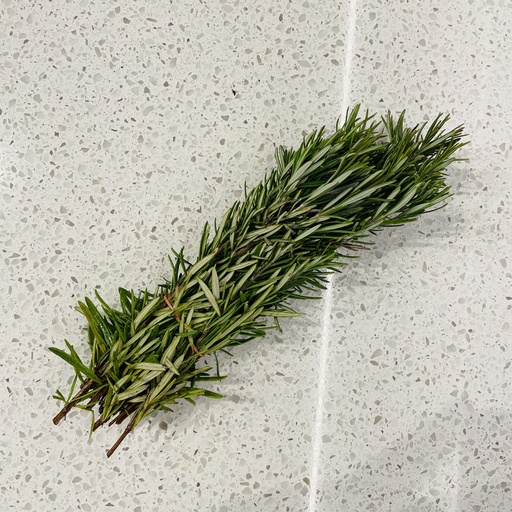 Romarin frais
