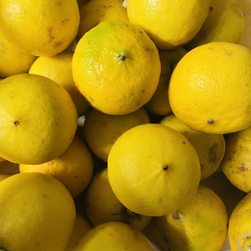 CITRON BERGAMOTE bio — Sybaris