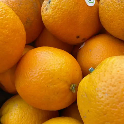 Orange Barberina - Solvilla
