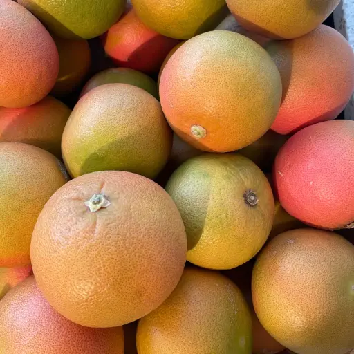 PAMPLEMOUSSE STAR RUBY bio — Anna Gabriella Barbera