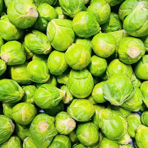 Choux de Bruxelles - Provence