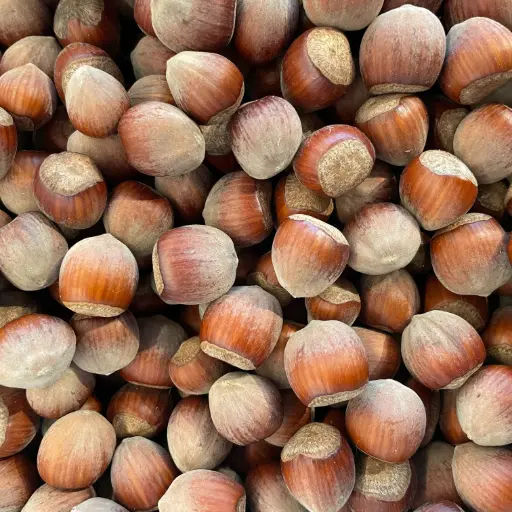 Noisette