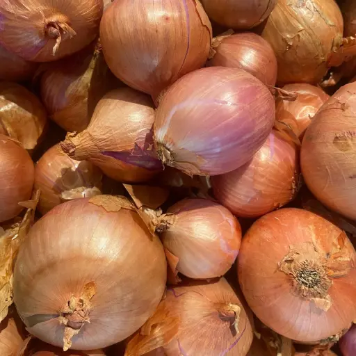 Oignons Rosés - France