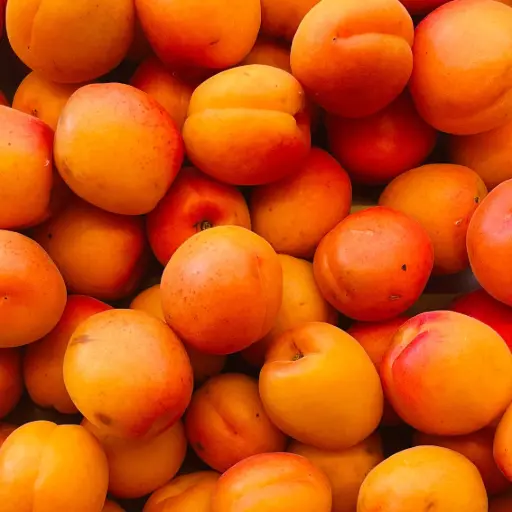 Abricots Magic Blanc - Morf