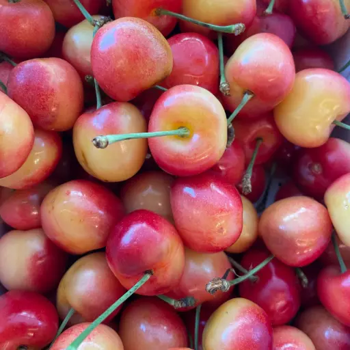 Cerises Rainier - Chambert