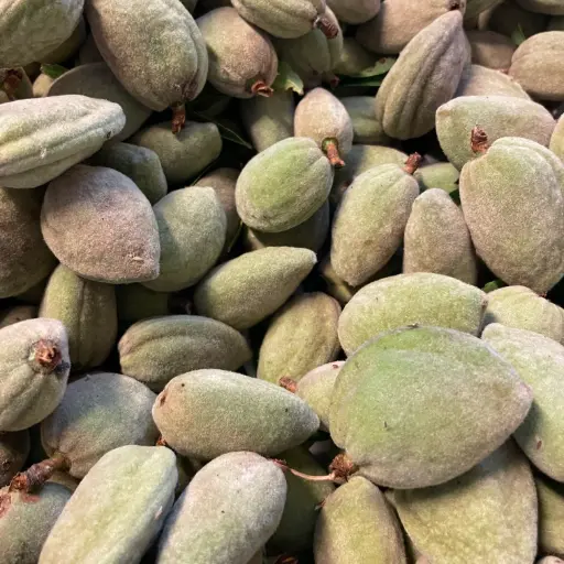 Amandes Fraiches - France