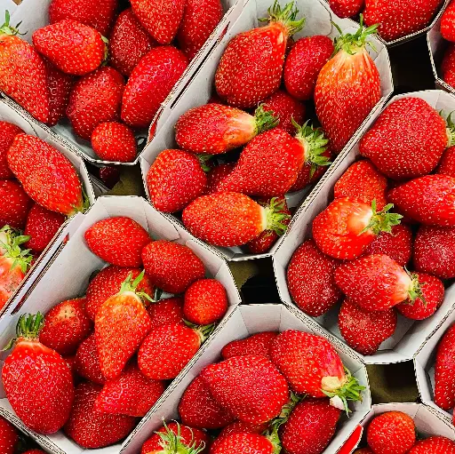 Fraises Gariguettes Pleine Terre 250g - Provence