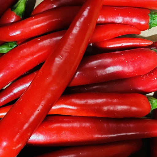 Piment Habanero - Espagne