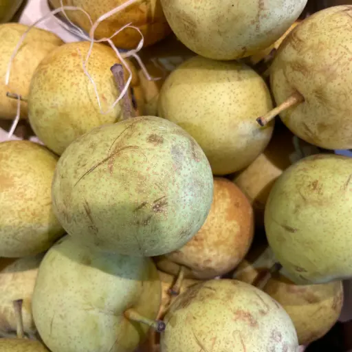 POIRE NASHI - Italie