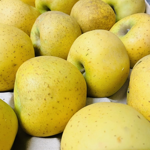 POMME CHANTECLERC  — Saveur d'Antan, Cavaillon, Provence