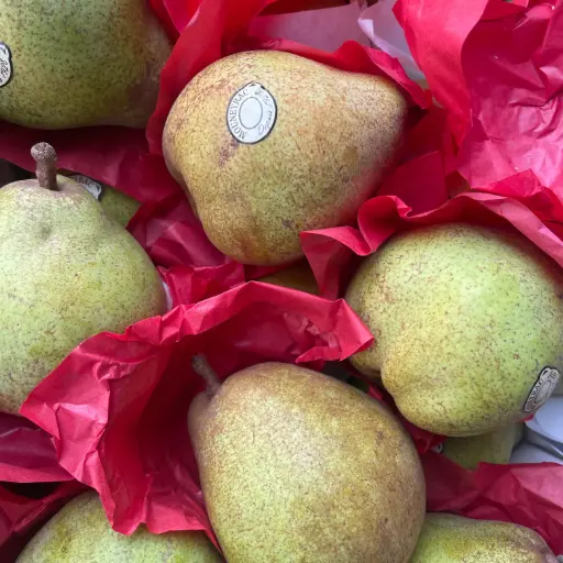 POIRE COMICE  — Mouneyrac Frères, Chevilly-Larue, Marne