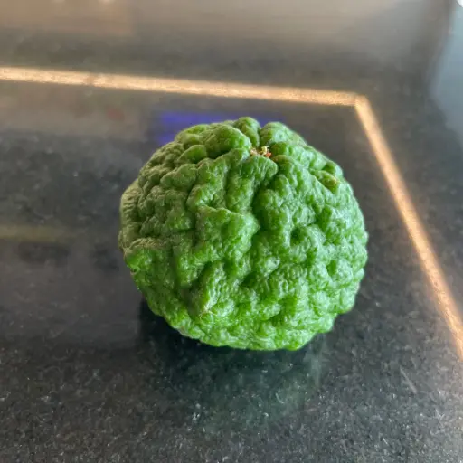 CITRON COMBAVA bio — Corse