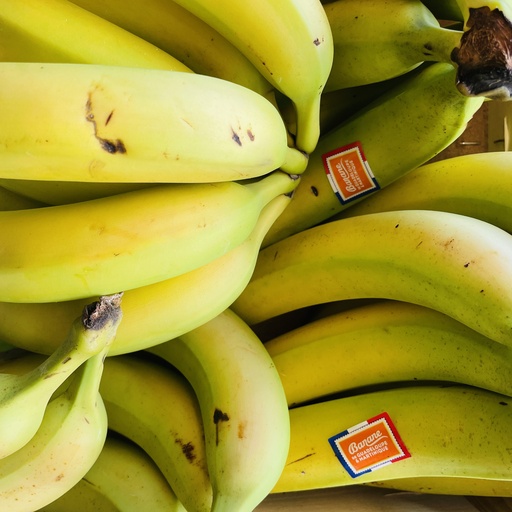 Bananes Frecinette - Colombie