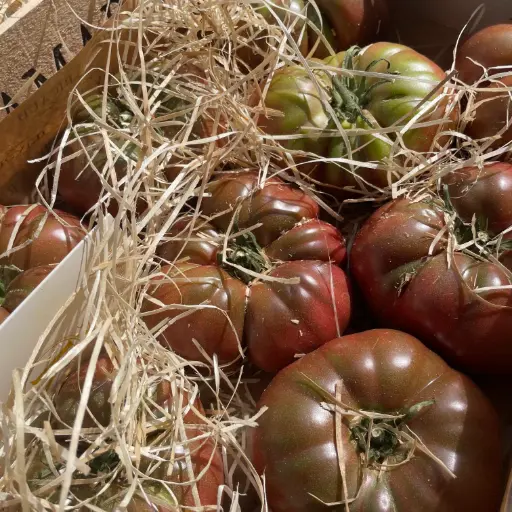 Tomate Marmande - Ricaud