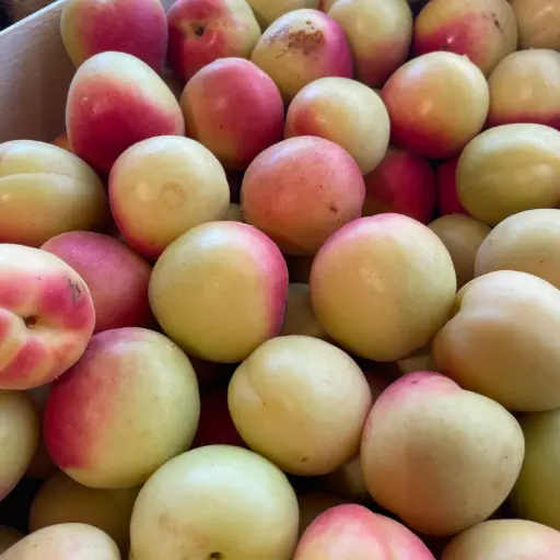 Abricots Vanilla - Leveque