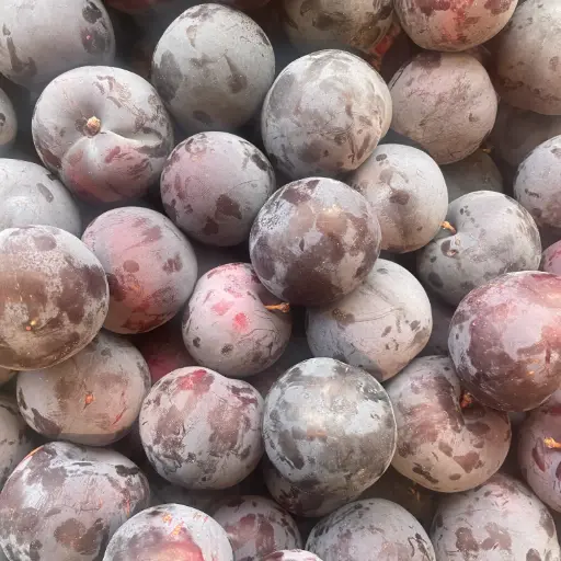 Prune Amber - Saveur d'Antan