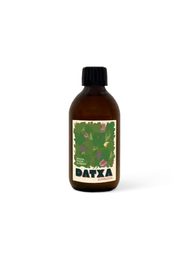 KOMBUCHA FEUILLE DE FIGUIER  — Datxa