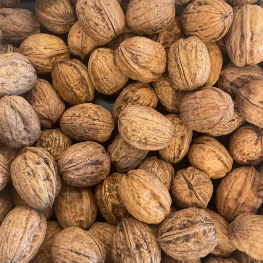 NOIX FRAICHES  — Lara, France