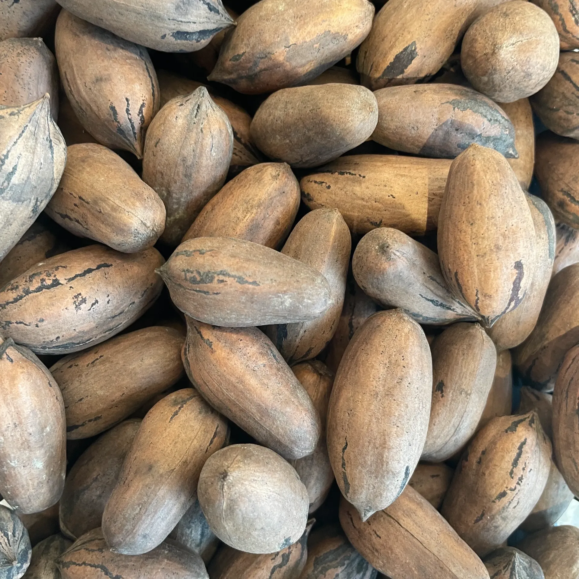 NOIX DE PECAN — Cristobal y Manolo, Espagne
